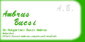 ambrus bucsi business card